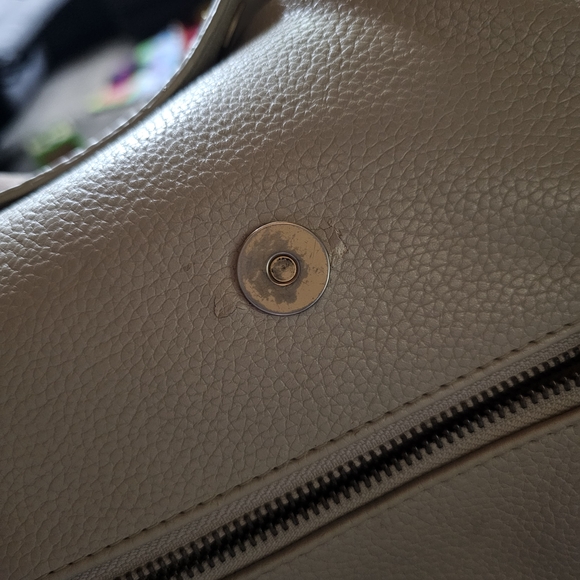 Freshly Picked Mini Birch - Picture 6 of 7